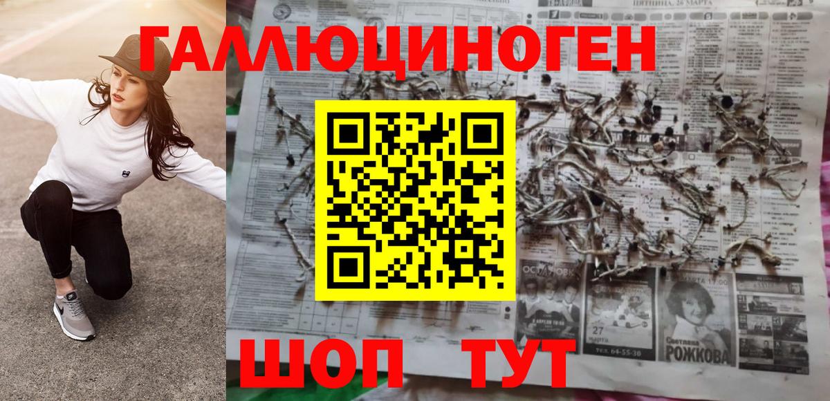 Псилоцибиновые грибы Psilocybe Мелеуз