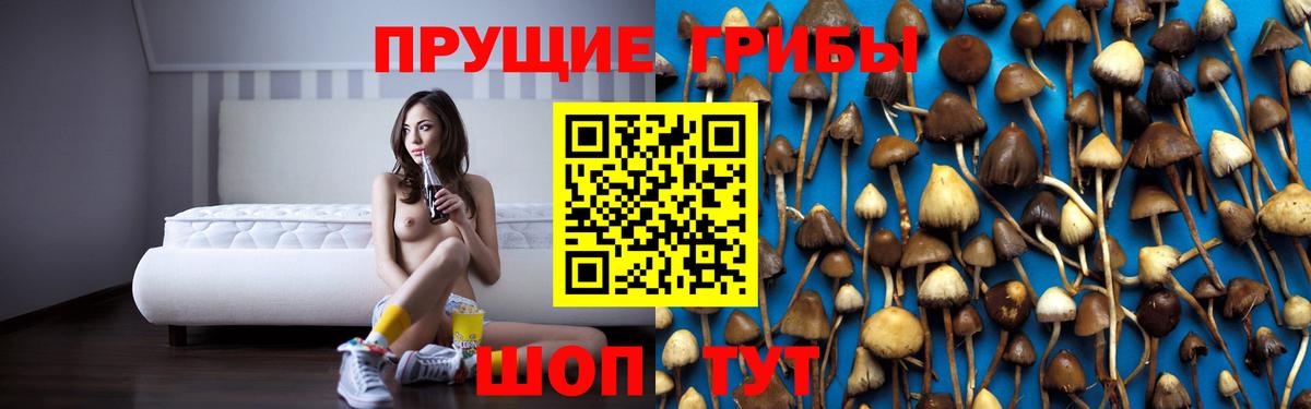Псилоцибиновые грибы Psilocybine cubensis  Галлюциногенные грибы мухоморы  Вход с VPN  Мелеуз 